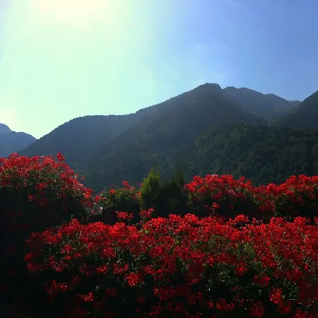 Pyrenees Hotel