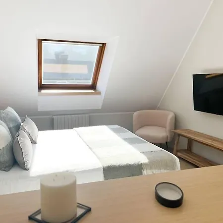 Apartment Atico Duplex De Lujo - Clasificacion 5 Estrellas - 8pax - A Pie Del Centro - 2 Parkings L By Bonesvacances *