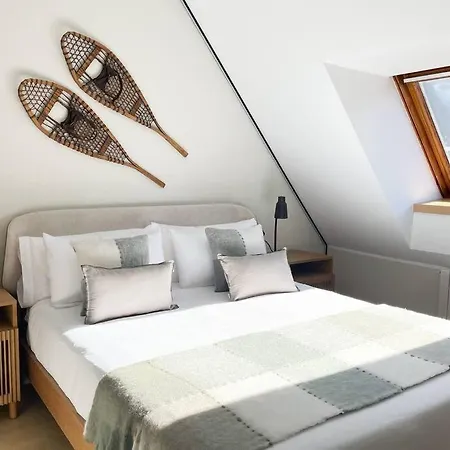 Apartment Atico Duplex De Lujo - Clasificacion 5 Estrellas - 8pax - A Pie Del Centro - 2 Parkings L By Bonesvacances Andorra la Vella