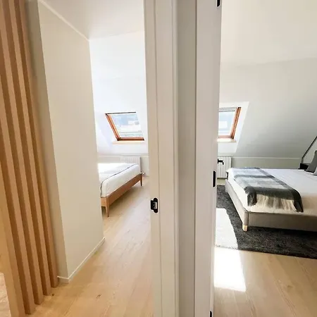 Atico Duplex De Lujo - Clasificacion 5 Estrellas - 8pax - A Pie Del Centro - 2 Parkings L By Bonesvacances * Andorra la Vella